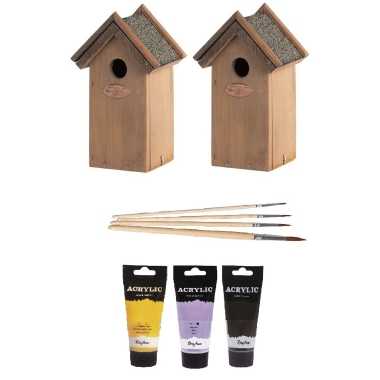 2x houten vogelhuisje/nestkastje 22 cm - zwart/geel/paars dhz schilderen pakket