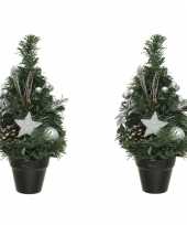 2x stuks mini kunst kerstbomen kunstbomen met zilveren versiering 30 cm