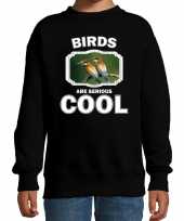 Dieren bijeneter vogel sweater zwart kinderen birds are cool trui jongens en meisjes
