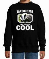Dieren das sweater zwart kinderen badgers are cool trui jongens en meisjes