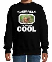 Dieren eekhoorntje sweater zwart kinderen squirrels are cool trui jongens en meisjes