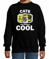 Dieren gekke poes sweater zwart kinderen cats are cool trui jongens en meisjes