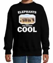 Dieren kudde olifanten sweater zwart kinderen elephants are cool trui jongens en meisjes