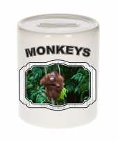 Dieren orangoetan spaarpot monkeys apen spaarpotten kinderen 9 cm