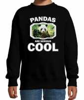 Dieren panda sweater zwart kinderen pandas are cool trui jongens en meisjes
