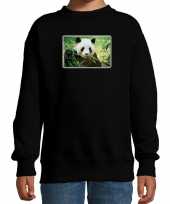 Dieren sweater trui met pandaberen foto zwart voor kinderen