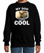 Dwergpinscher honden trui sweater my dog is serious cool zwart voor kinderen 10256701