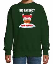 Fun kerstsweater outfit did anybody hear my fart groen voor kinderen