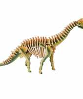 Houten 3d puzzel brachiosaurus