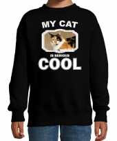 Lapjeskat katten trui sweater my cat is serious cool zwart voor kinderen