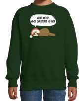 Luiaard kerstsweater outfit wake me up when christmas is over groen voor kinderen