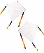 Set van 4x stuks blanco vliegers diy knutselpakket inclusief 6 krijtjes per pakket 49 x 49 cm