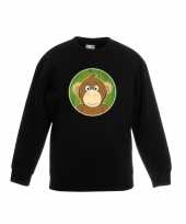 Sweater aap zwart kinderen