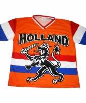 T shirt holland met zwarte leeuw en vlag voor kinderen